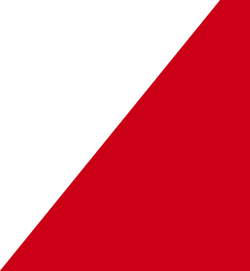 decorative arrow shape