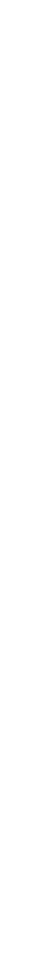 decorative line
